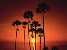 Fondos de escritorio y pantalla de Playas Nocturnas